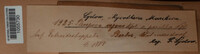 Image Associated With the Occurence